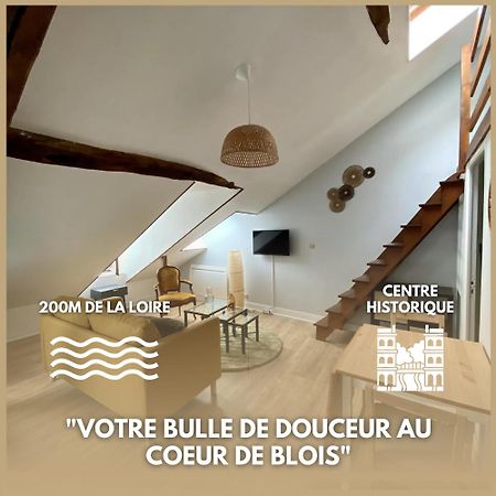 Le Cocon - Appartement En Hyper Centre Blois Luaran gambar